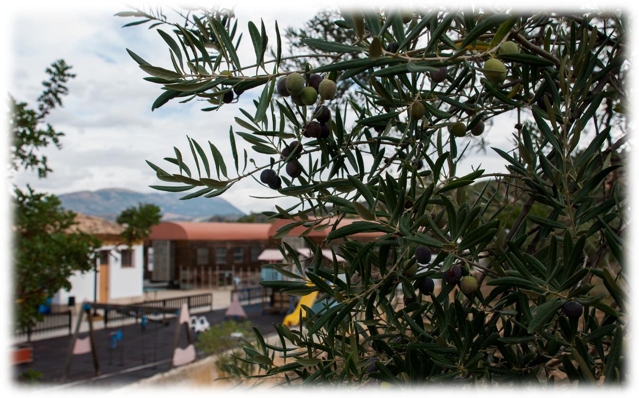 Hostal- Restaurante Estacion Via Verde Olvera Exteriér fotografie